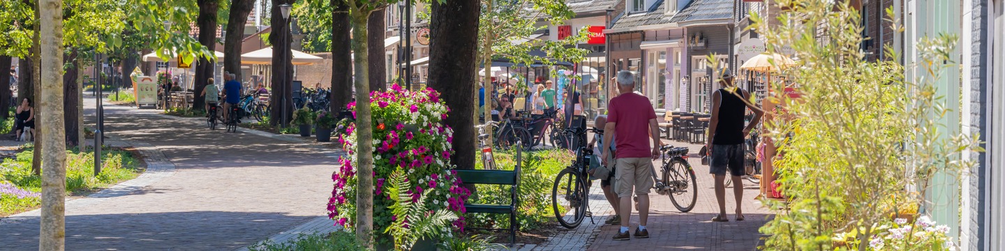 Noordstraat in Burgh-Haamstede