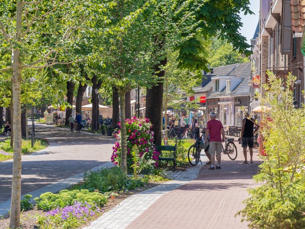 Noordstraat in Burgh-Haamstede